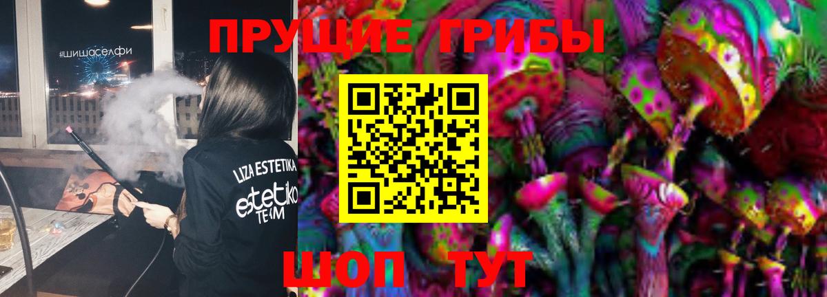 Северск  Псилоцибиновые грибы GOLDEN TEACHER  цена   Вход с VPN  Псилоцибиновые грибы MAGIC MUSHROOMS 