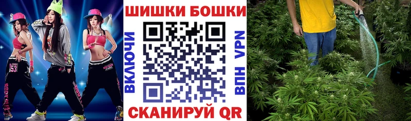 Конопля Amnesia  как найти закладки  Северск 
